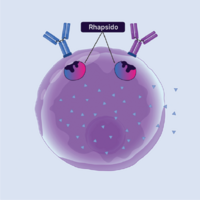 RHAPSIDO targeted action in the mast cell.